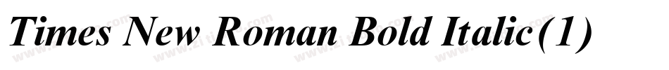 Times New Roman Bold Italic(1)字体转换